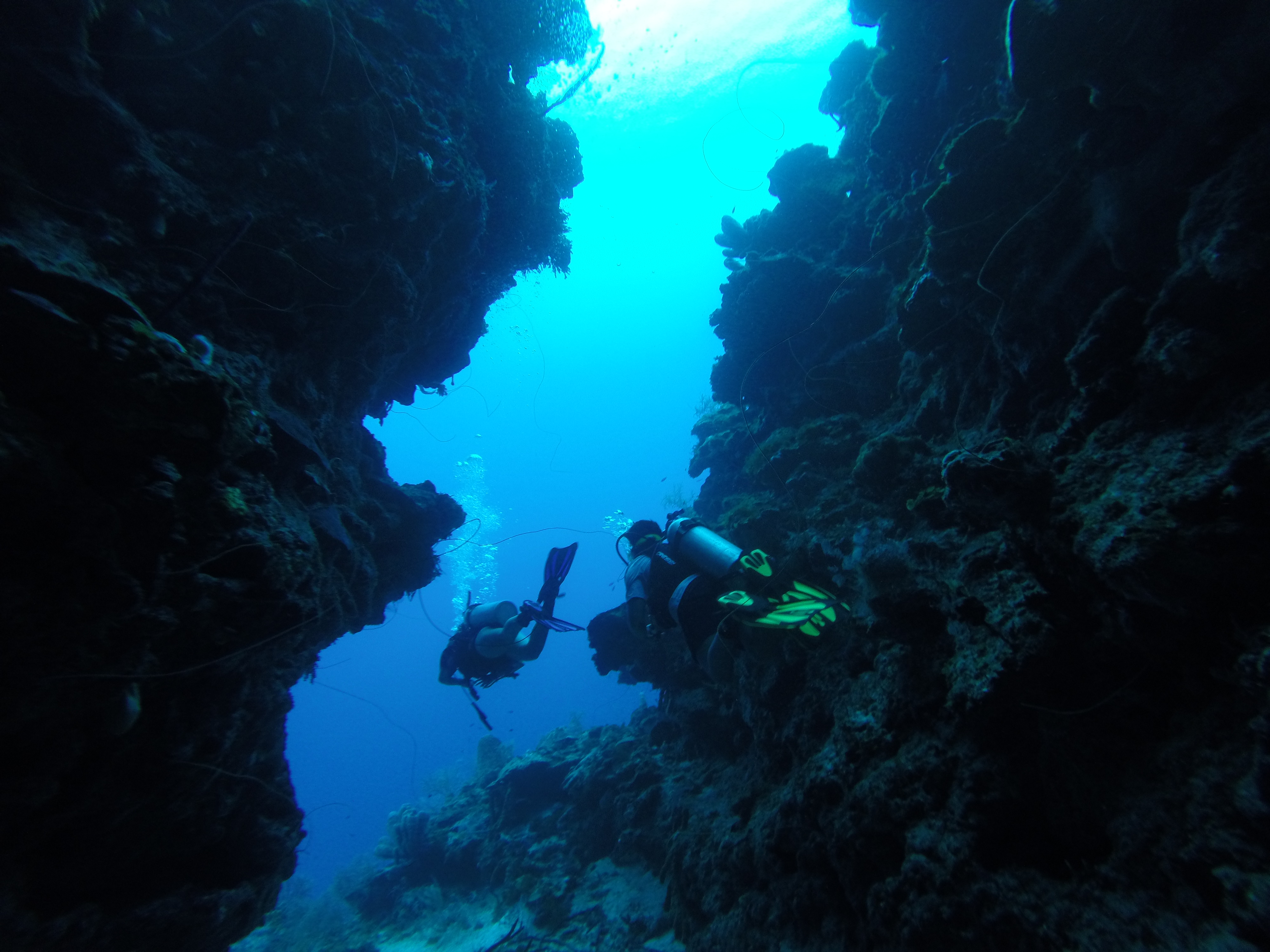 Image 14 - Scuba Diving