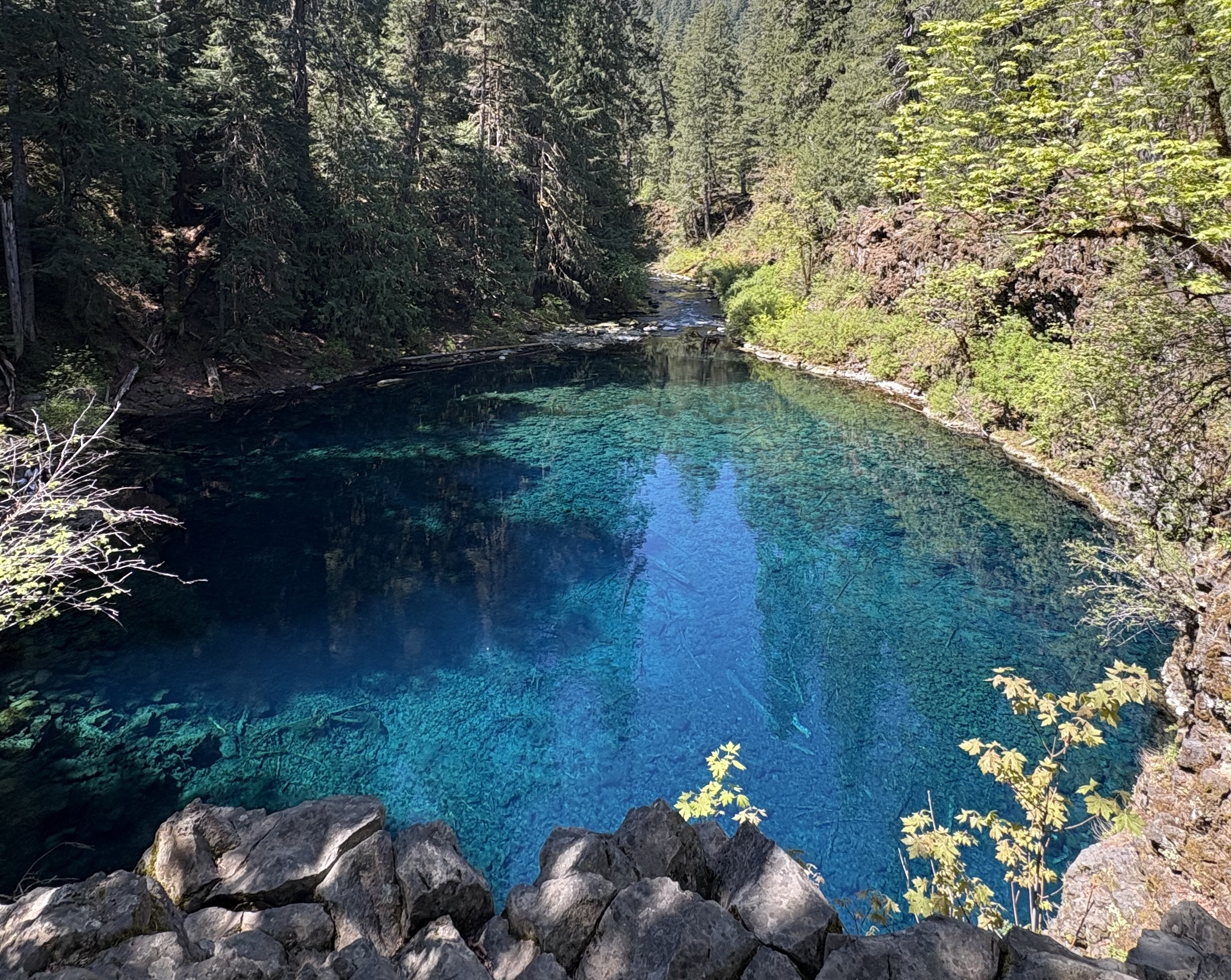Image 2 - Blue Pool